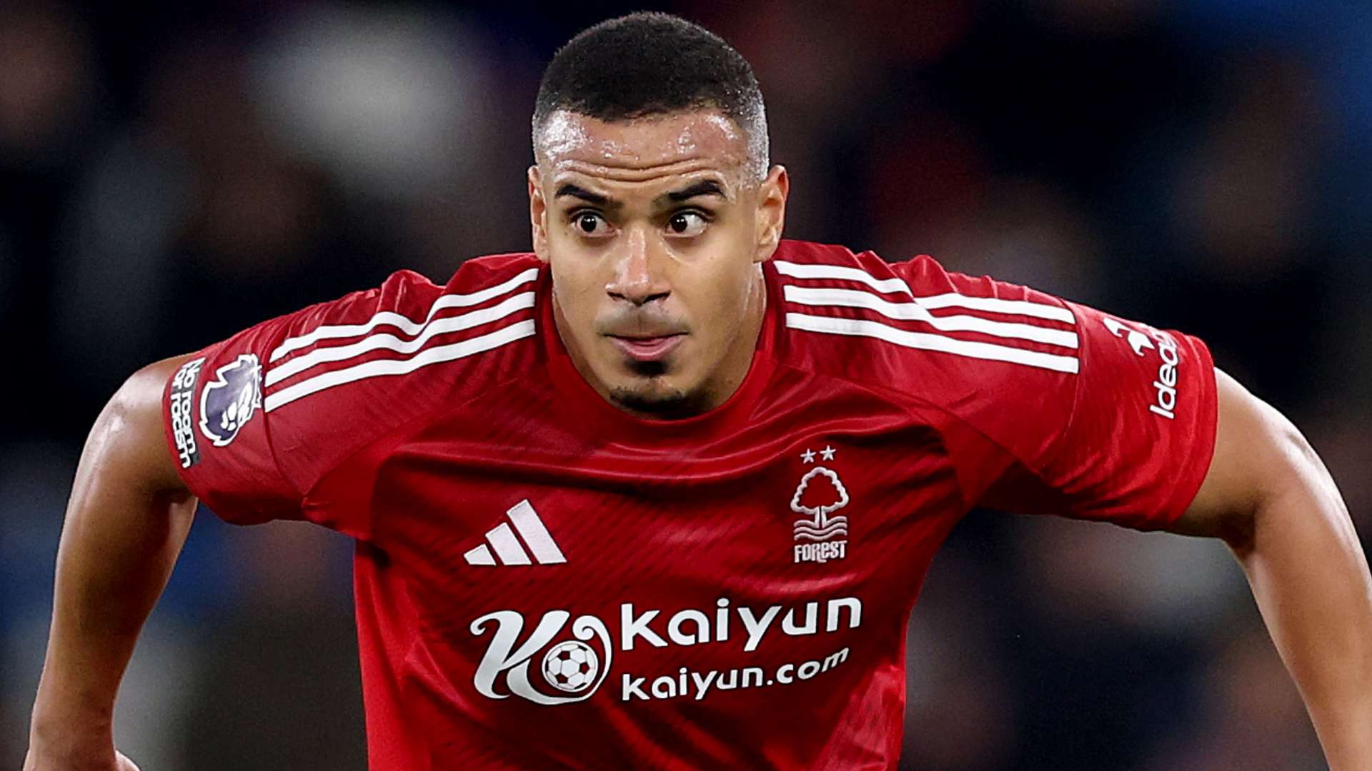 积极向上的 积极向上的