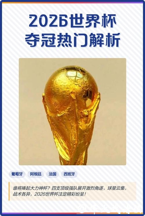 世界杯预测：夺冠热门球队策略探讨