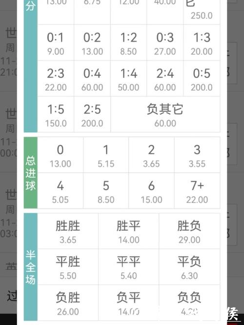 世界杯下注入口:实时赔率与下注服务指南 世界杯下注入口:实时赔率与下注服务指南